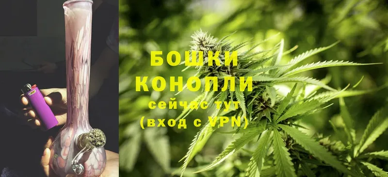 Бошки Шишки LSD WEED  гидра вход  Алатырь  купить  сайты 